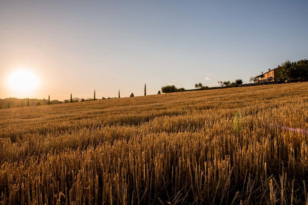 Agriturismo Il Tiro Castel del Piano  Buitenkant foto